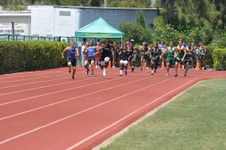 Enlarge photo 702