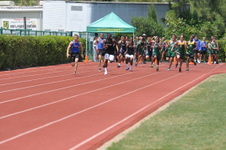 Enlarge photo 703