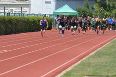 Enlarge photo 704