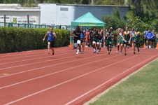 Enlarge photo 706
