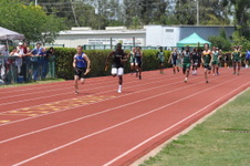 Enlarge photo 707