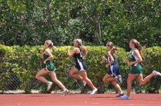 Enlarge photo 733
