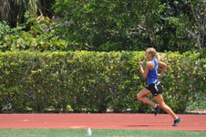 Enlarge photo 736