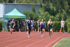 Enlarge photo 761