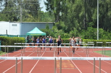 Enlarge photo 776