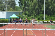 Enlarge photo 778