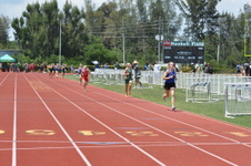 Enlarge photo 797