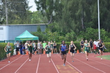 Enlarge photo 813