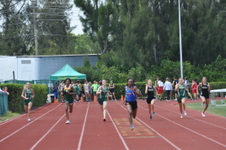 Enlarge photo 816
