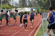 Enlarge photo 889