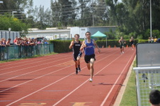 Enlarge photo 933