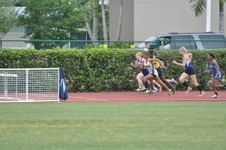 Enlarge photo 131