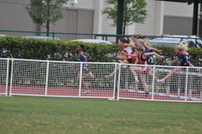 Enlarge photo 153