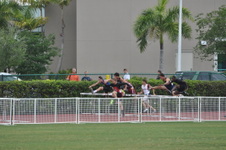 Enlarge photo 167