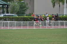 Enlarge photo 168