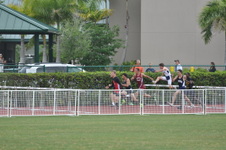 Enlarge photo 169