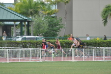 Enlarge photo 170
