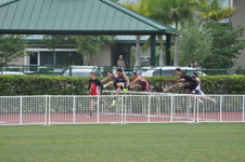 Enlarge photo 173