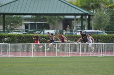 Enlarge photo 174