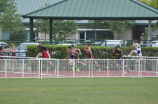 Enlarge photo 176