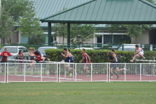 Enlarge photo 177