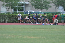 Enlarge photo 213