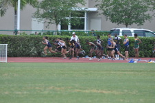 Enlarge photo 216
