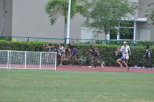Enlarge photo 219