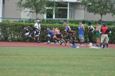 Enlarge photo 233