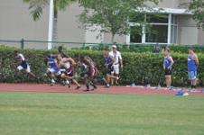 Enlarge photo 236