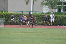 Enlarge photo 237