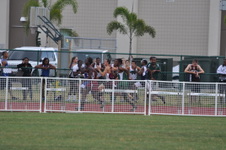 Enlarge photo 240