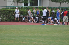Enlarge photo 242
