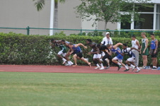 Enlarge photo 248