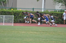 Enlarge photo 252