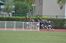 Enlarge photo 251