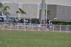 Enlarge photo 258