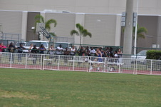Enlarge photo 260