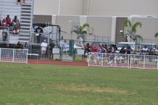 Enlarge photo 262