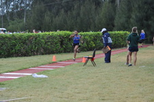 Enlarge photo 263