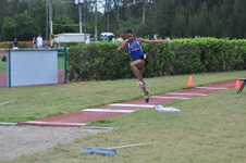 Enlarge photo 269