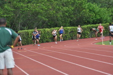 Enlarge photo 281