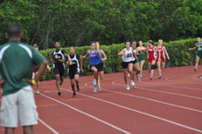 Enlarge photo 293