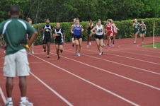 Enlarge photo 295