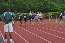 Enlarge photo 297