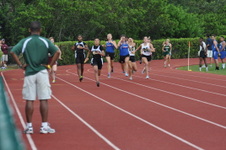 Enlarge photo 299