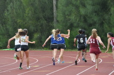 Enlarge photo 314