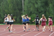Enlarge photo 315