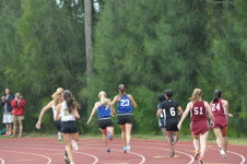 Enlarge photo 319