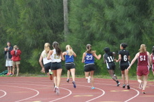 Enlarge photo 321